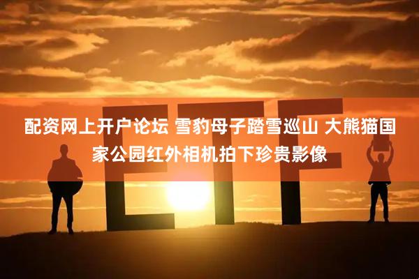 配资网上开户论坛 雪豹母子踏雪巡山 大熊猫国家公园红外相机拍下珍贵影像