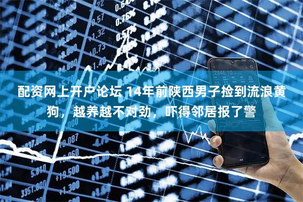 配资网上开户论坛 14年前陕西男子捡到流浪黄狗，越养越不对劲，吓得邻居报了警