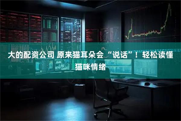 大的配资公司 原来猫耳朵会 “说话”！轻松读懂猫咪情绪