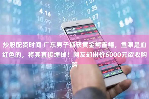 炒股配资时间 广东男子捕获黄金鳄雀鳝，鱼眼是血红色的，将其直接埋掉！网友却出价6000元欲收购