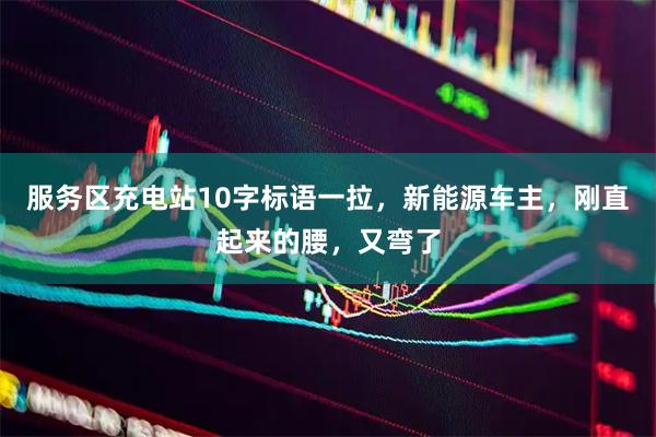服务区充电站10字标语一拉，新能源车主，刚直起来的腰，又弯了