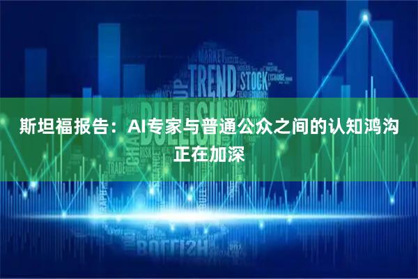 斯坦福报告：AI专家与普通公众之间的认知鸿沟正在加深