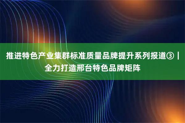 推进特色产业集群标准质量品牌提升系列报道③｜全力打造邢台特色品牌矩阵